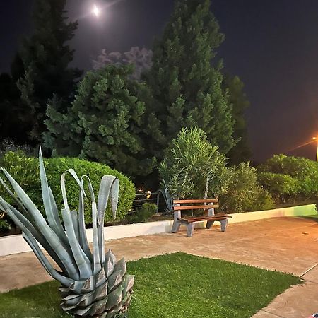 Adriatic Apartman Bečići エクステリア 写真