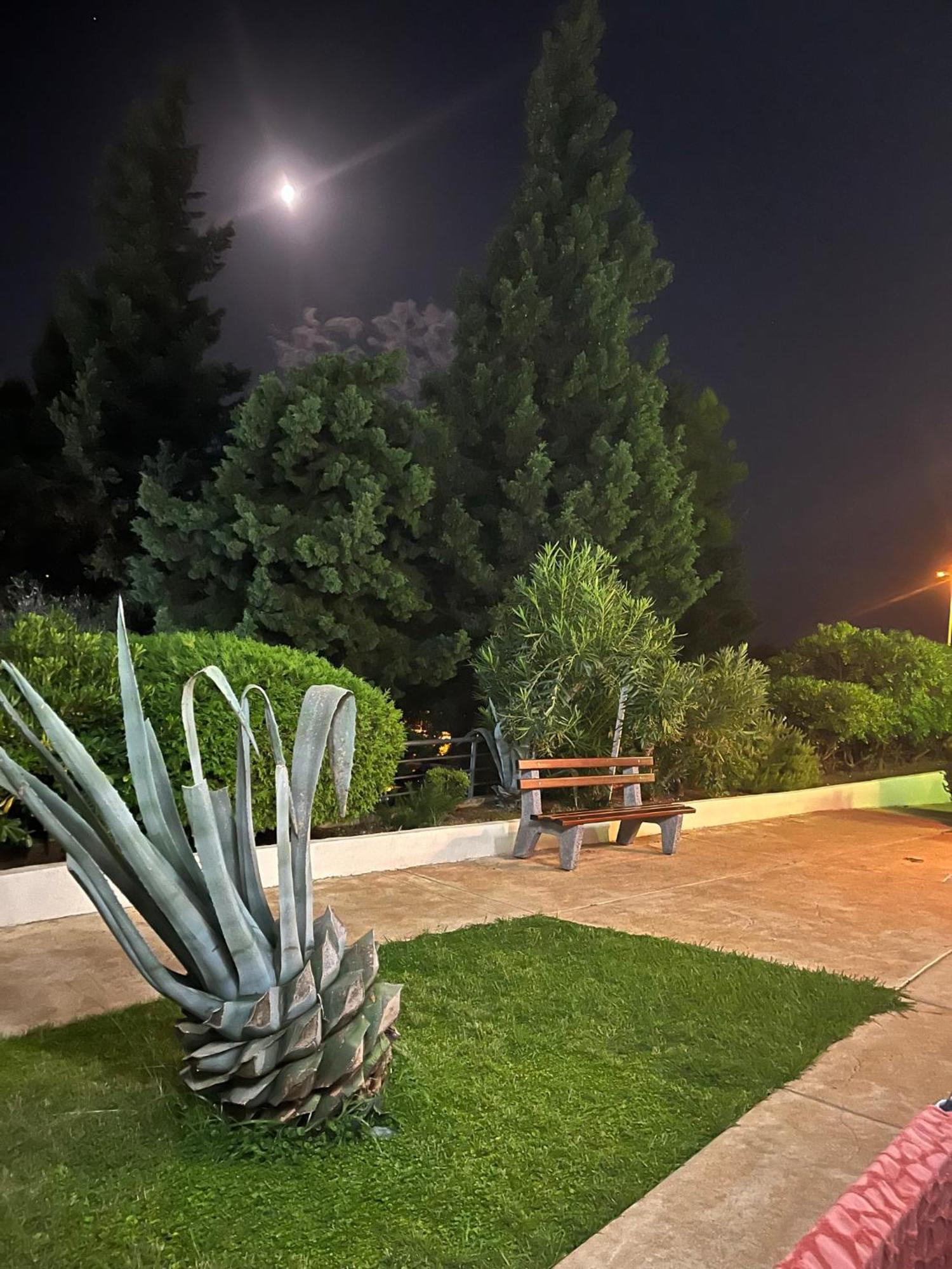 Adriatic Apartman Bečići エクステリア 写真